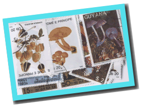 50 verschiedene Briefmarken PILZE